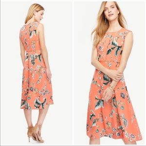Ann Taylor Floral Oasis Midi Dress